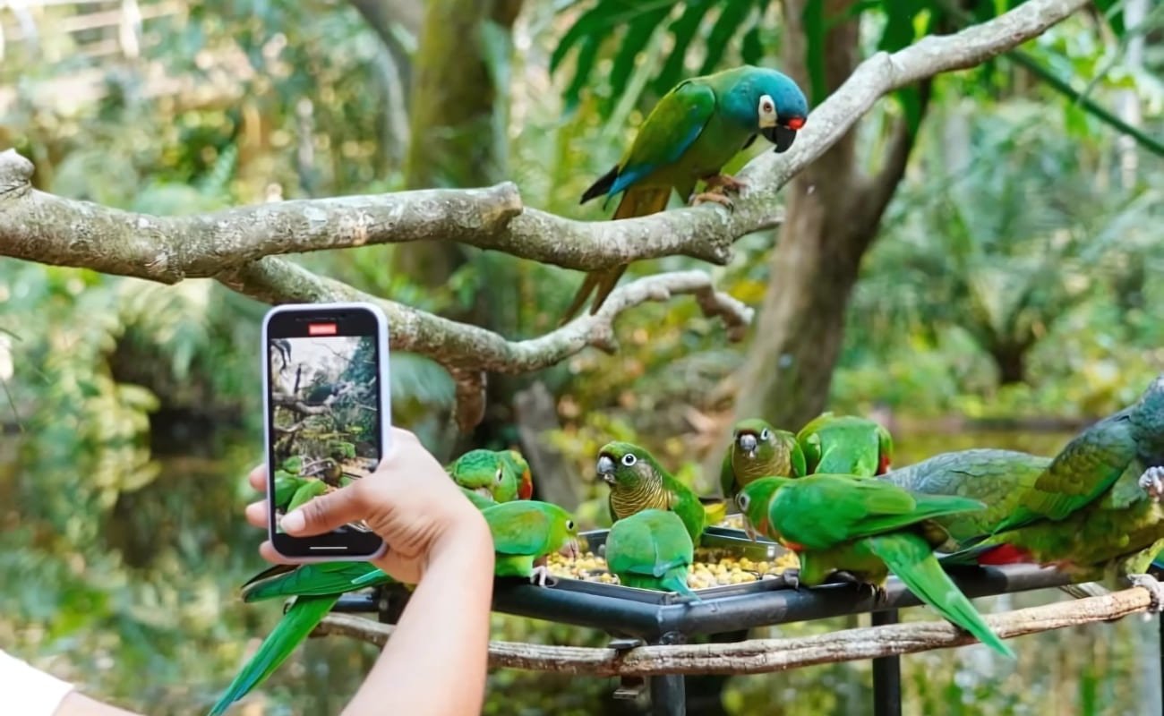 Parque-das-Aves