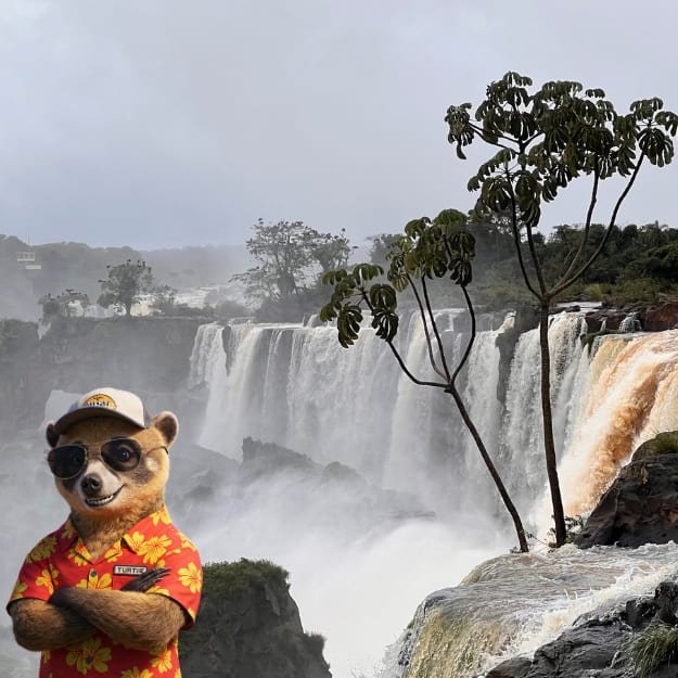 Cataratas Argentinas Transfer Cataratas Argntinas