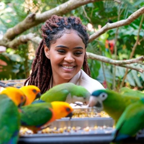 Conecta-Experience-Parque-das-Aves