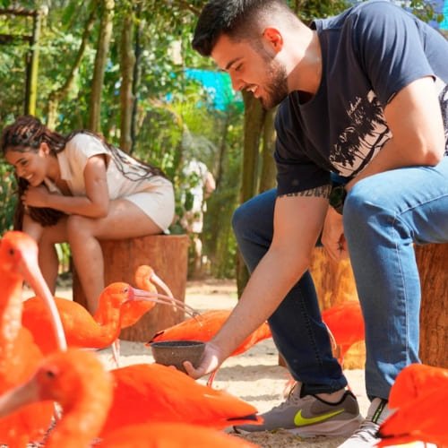 Conecta-Experience-Parque-das-Aves