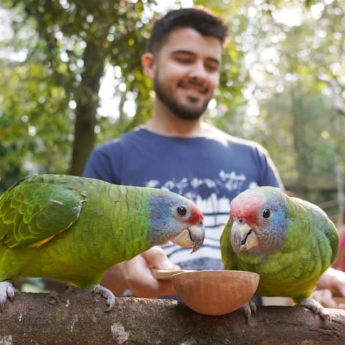 ingressos-parque-das-aves